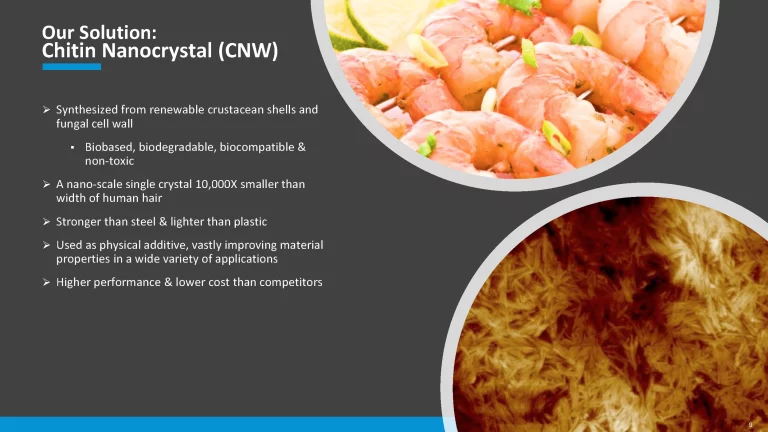 NeptuneNanotechnologiesCorporatePresentation Jul2023 Final Page 09 768x432